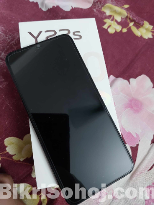 vivo y22s